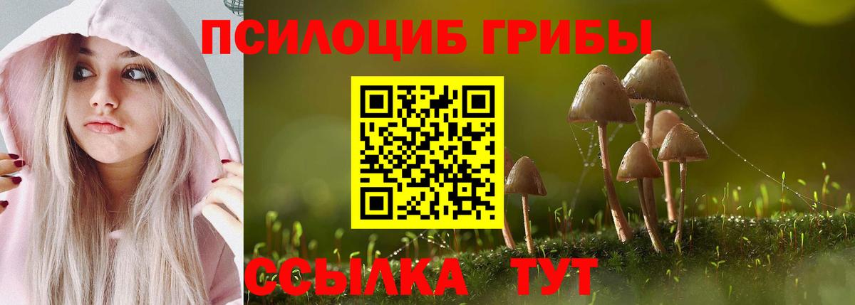Галлюциногенные грибы GOLDEN TEACHER  Галлюциногенные грибы Cubensis  Вход с VPN  Чусовой 