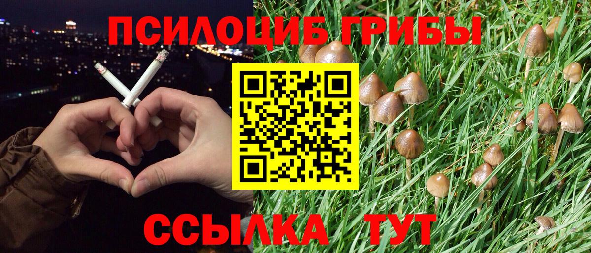 Псилоцибиновые грибы мицелий Чусовой